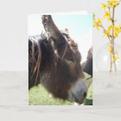 Carte de voeux Donkey Portrait (Fleur jaune)
