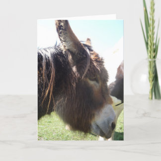 Carte de voeux Donkey Portrait
