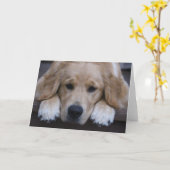 Carte de voeux d'or de pattes de chiot (Fleur jaune)