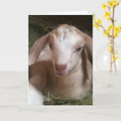 Carte de voeux d'or d'enfant de chèvre (Fleur jaune)