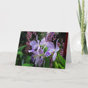 Carte de voeux d'orchidées