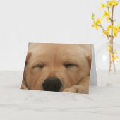 Carte de voeux dormant Golden Retriever (Fleur jaune)