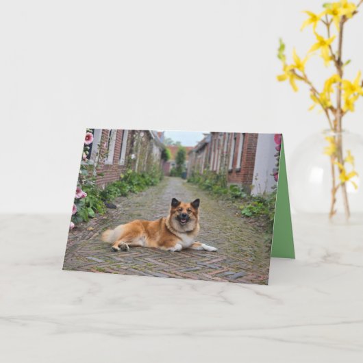 Carte de vœux double (Fleur jaune)