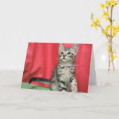 Carte de voeux douce de blanc de chaton (Fleur jaune)