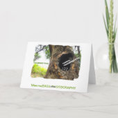 Carte de vœux drôle d'arbre chantant ! (Dos)