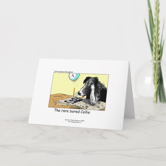 Carte de vœux drôle de Border Collie (Devant)