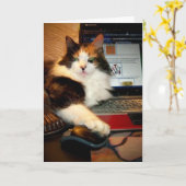 Carte de vœux drôle de chat calico (Fleur jaune)