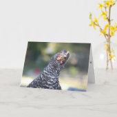 Carte de voeux drôle de poulet (Fleur jaune)