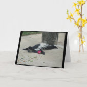 Carte de voeux drôle de singe (Fleur jaune)