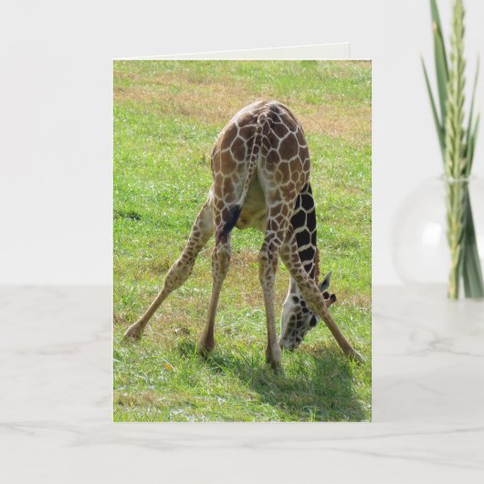 Carte de voeux drôle Giraffe (vide à l'intérieur) (Devant)