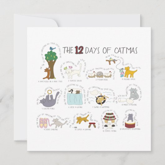 Carte de voeux drôle pour les amoureux des chats (Devant)