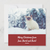 Carte de voeux drôle pour les amoureux des chats (Dos)