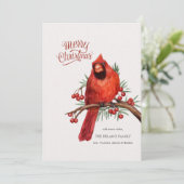 Carte de vœux du Cardinal rouge sur une branche de (Debout devant)
