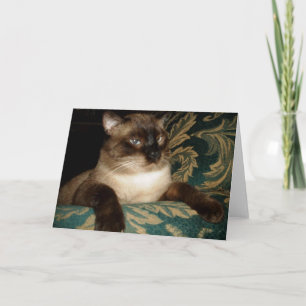 Carte de vœux du chat siamois au visage boudeur