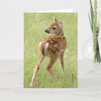 Carte de voeux du faon 6 de cerf de Virginie de