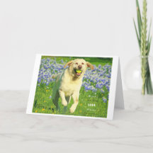 Carte de voeux du Laboratoire Jaune avec vers bibl