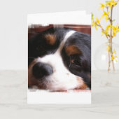 Carte de voeux du Roi Charles Cavalier Spaniel (Fleur jaune)