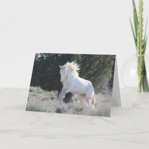 Carte de voeux du survivant