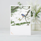 Carte de voeux Eastern Bluebird/Champagne Glasses (Debout devant)