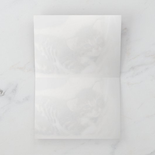 Carte de voeux Échapper aux chatons (Intérieur)