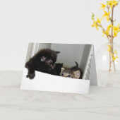 Carte de voeux Échapper aux chatons (Fleur jaune)