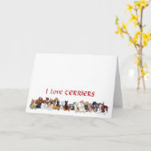 Carte de voeux écossaise Terrier (Fleur jaune)