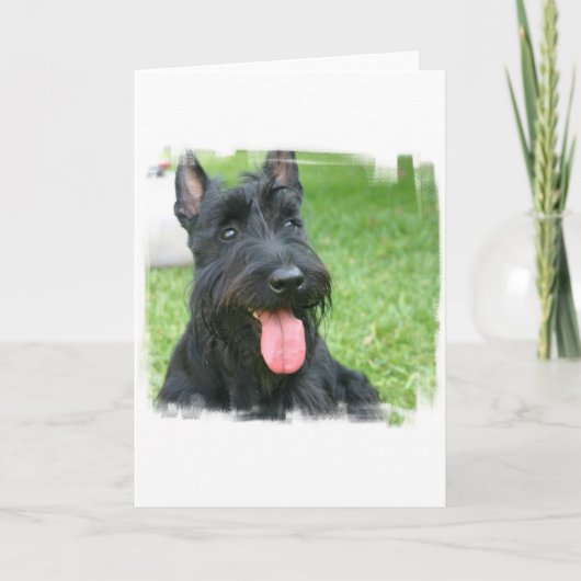 Carte de voeux écossaise Terrier Dog (Devant)