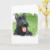 Carte de voeux écossaise Terrier Dog (Fleur jaune)