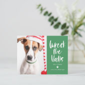 Carte de vœux éditable Wreck The Halls couleur pou (Debout devant)