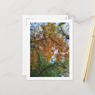 Carte de vœux élégante d'automne