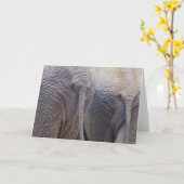 Carte de vœux éléphant (Fleur jaune)