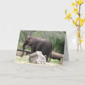 Carte de voeux éléphant (0390) (Fleur jaune)