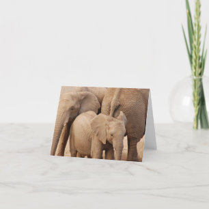 Carte de voeux éléphant - vide