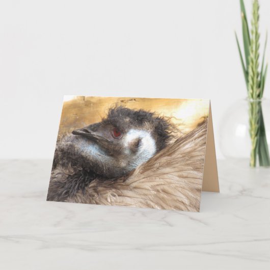 Carte de voeux Emu Bird (Devant)