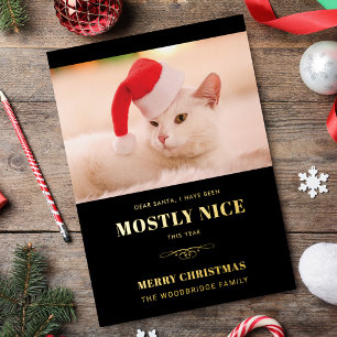 Carte De Vœux En Aluminium Cher Père Noël Cute Chat Photo Noël