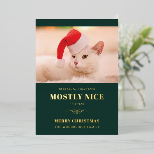 Carte De Vœux En Aluminium Cher Père Noël Funny Chat Photo Noël (Debout devant)