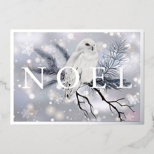 Carte De Vœux En Aluminium Chouette neige NOEL personnalisé Noël (Recto)