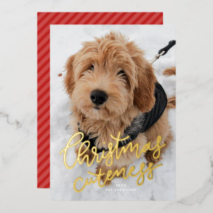Carte De Vœux En Aluminium Cute Noël une photo animal mignon