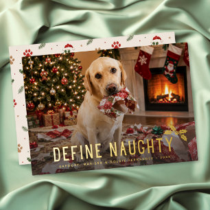 Carte De Vœux En Aluminium Définir une photo drôle de chien vilain Noël