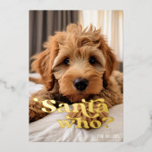 Carte De Vœux En Aluminium Drôle Mauvais Gentil Chien Animal Familial Minimal (Recto)