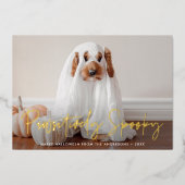 Carte De Vœux En Aluminium Éffrayant de façon puissante photo d'animal de com (Recto)