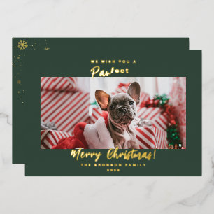 Carte De Vœux En Aluminium Festif Animaux de compagnie Photo Joyeux Noël Foil