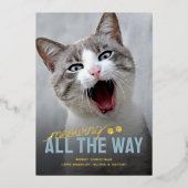 Carte De Vœux En Aluminium Funny Pet Cat Christmas (Recto)