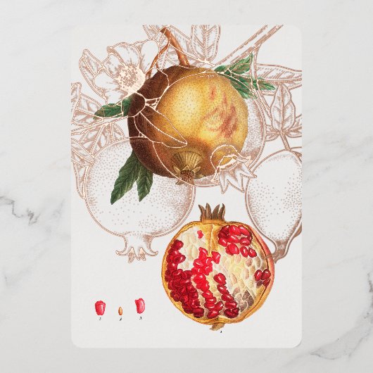 Carte De Vœux En Aluminium Grenade de Redouté (Recto)