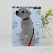 Carte De Vœux En Aluminium Joyeuses fêtes de Pawlidays (Debout devant)