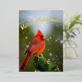 Carte De Vœux En Aluminium Joyeux Cardinal De Noël En À feuillage persistant  (Debout devant)