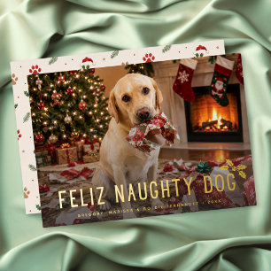 Carte De Vœux En Aluminium Joyeux Chien Vilain Photo Drôle de Noël
