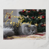 Carte De Vœux En Aluminium Joyeux Noël Meowy Photo de Chat Personnalisé (Recto)
