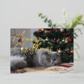 Carte De Vœux En Aluminium Joyeux Noël Meowy Photo de Chat Personnalisé (Debout devant)
