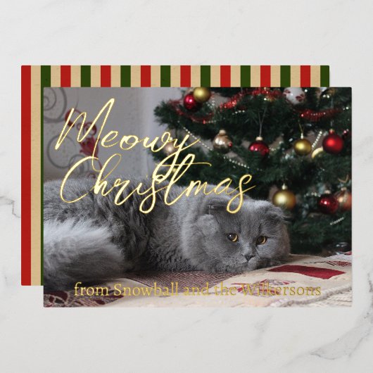 Carte De Vœux En Aluminium Joyeux Noël Meowy Photo de Chat Personnalisé (Recto/Verso)